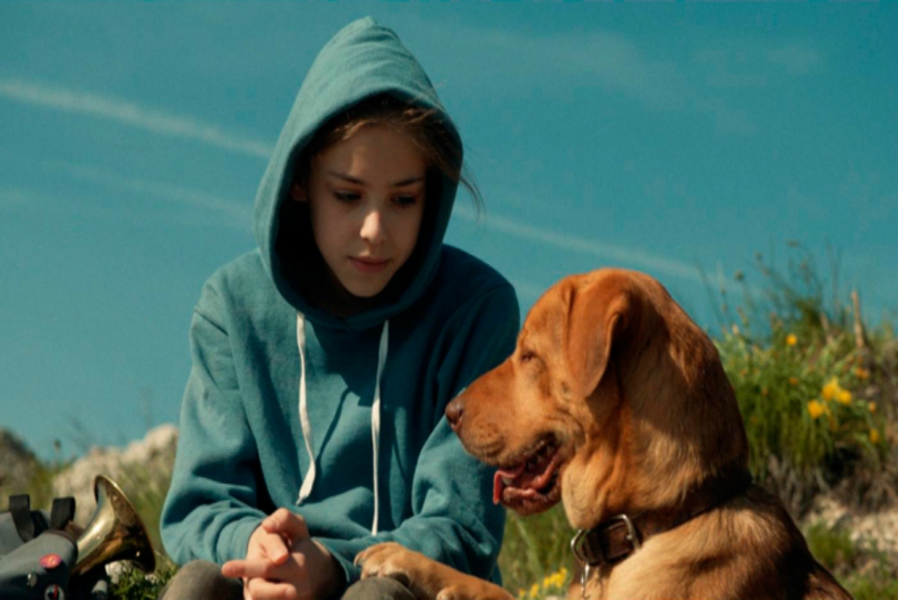 1. White God, Lili and Hagen