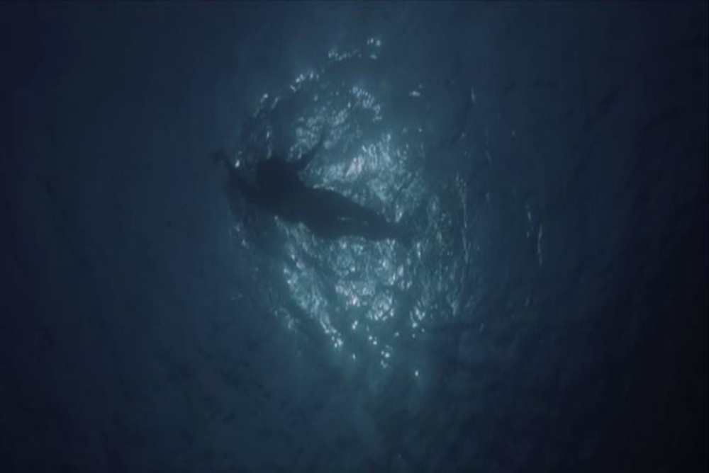 4. Jaws, shark's perspective, girl