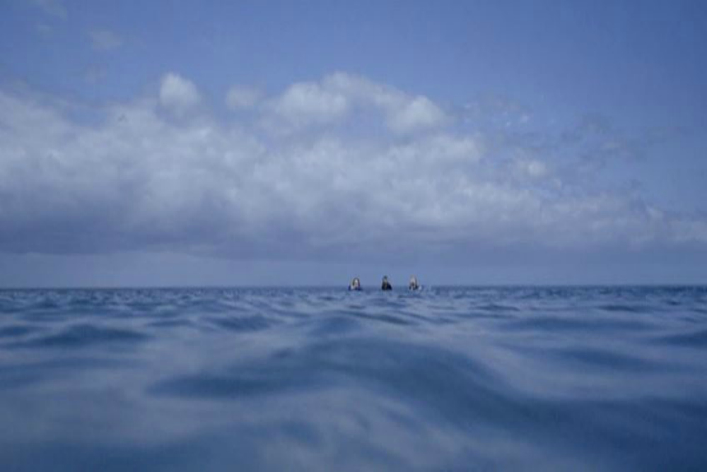 The Reef