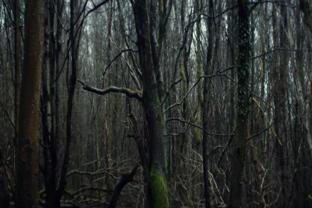 4-without-name-woods1