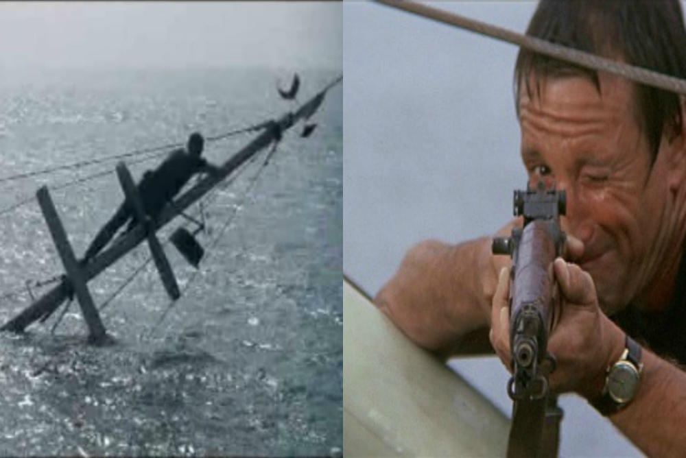 5. Jaws collage