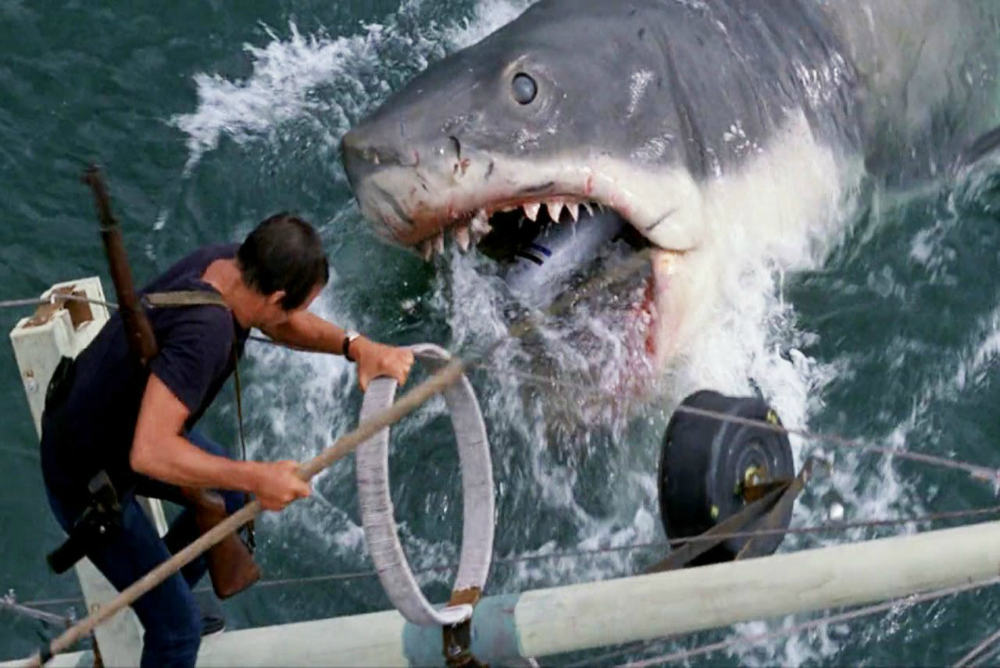 5. Jaws eye