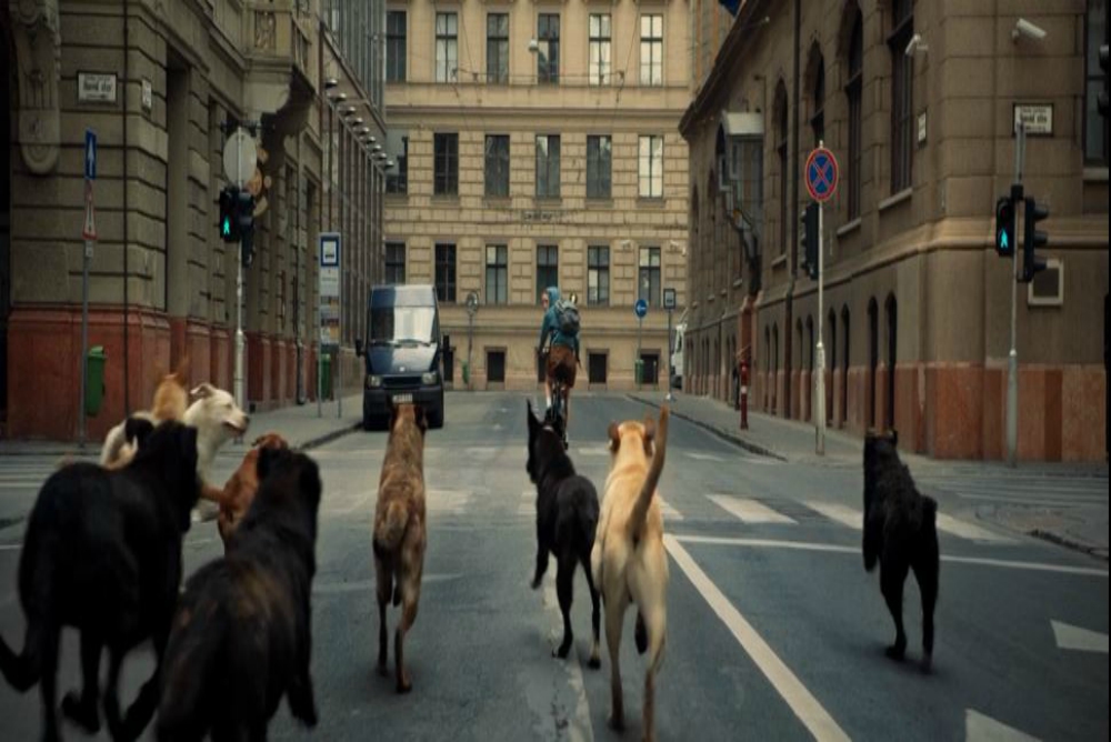 6. White God, Lili chased by dogs
