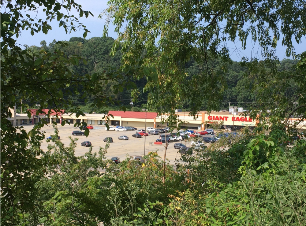 empty strip mall framed by trees