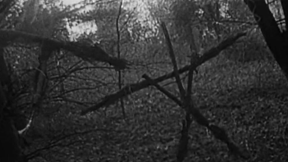 sticks arranged in a triangle in the woods