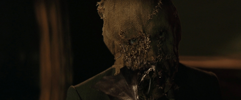 a closeup of a rotten scarecrow head